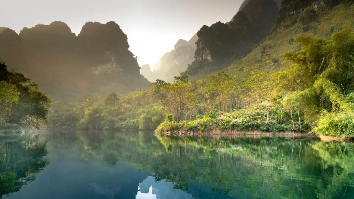 数字化高效高端
